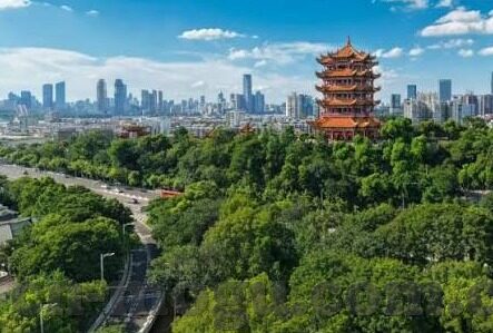 成都免费bd中文字幕-成都文化之旅，免费BD中文字幕的背后