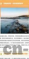 大象传媒91app下载-大象传媒91app，探索数字娱乐新境界