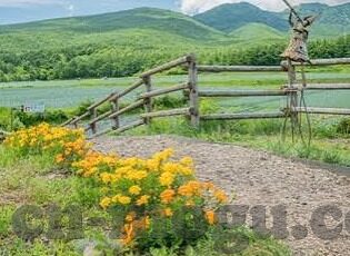 麻豆 av.com-以在数字浪潮中的‘麻豆’现象，av.com的兴起与影响为题，我们将逐步揭示这个出现在互联网暂存页背后的社会文化现象，以及它对数字时代内容传播和用户心理的独特影响