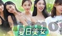 麻豆精品国产91-揭秘麻豆精品国产91的魅力，一台线上平台的深度解读