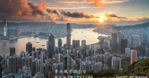 麻豆网站高清在线视频-网络世界的视听盛宴，麻豆网站高清在线视频解析与思考