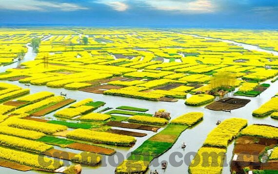 糖心app直播下载不用登录-探寻未触之境，探索糖心平台直播的新兴趣点