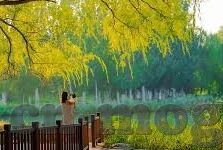 糖心vlog免费在线观看-题引，启程糖心Vlog的奇妙之旅——解锁在线免费观影的新境地