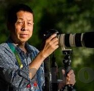 先锋日韩亚洲电影av色情下-先锋日韩亚洲电影，文化碰撞与艺术探索的边界